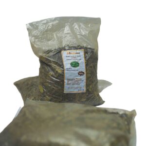 Rhamnus Prinoides Leaf  / ገሶ ቖጽሊ’ቅጠል