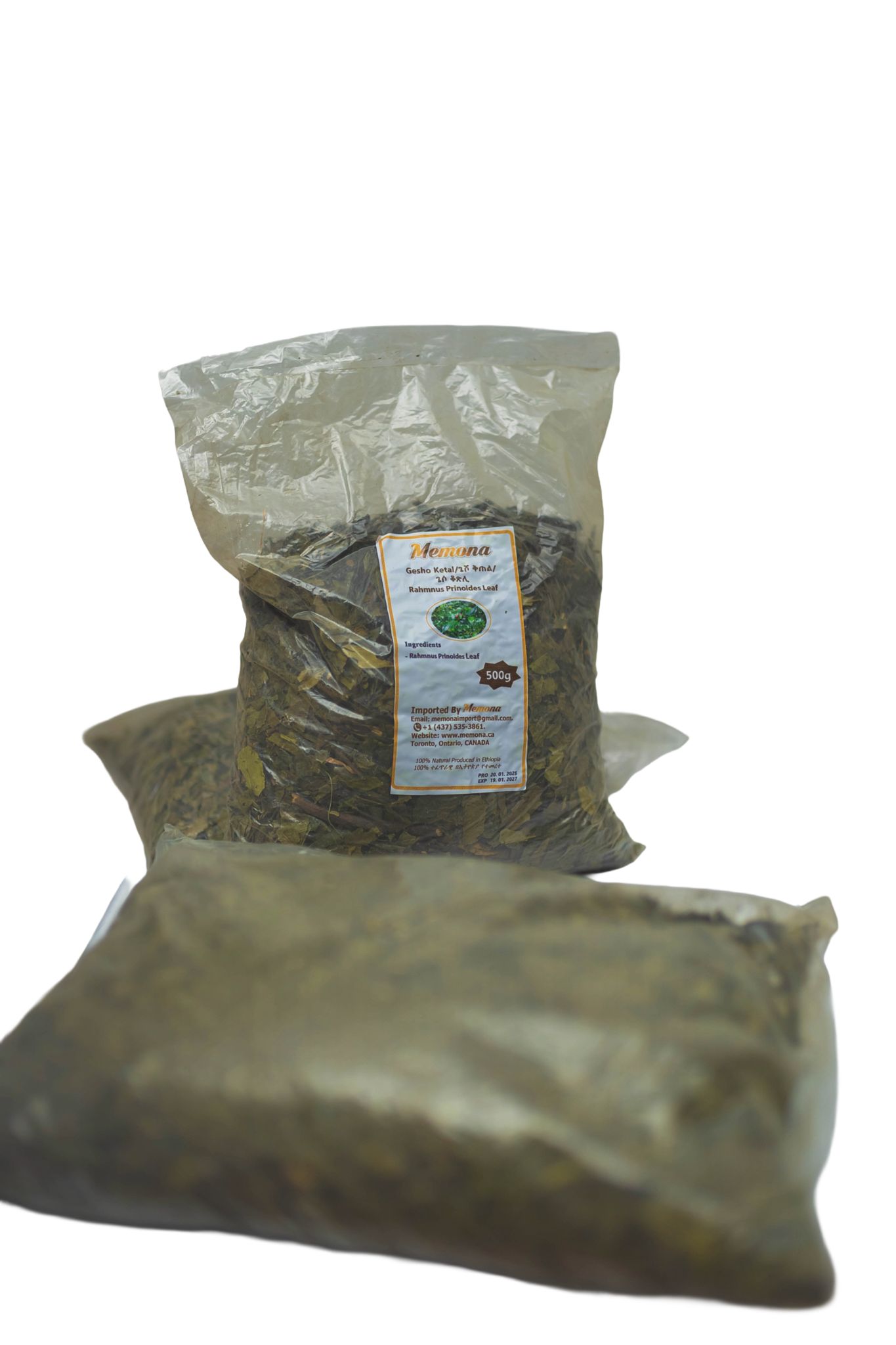 Rhamnus Prinoides Leaf / ገሶ ቖጽሊ’ቅጠል