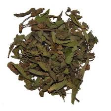 Lippia Abyssinica / ኮሰረት