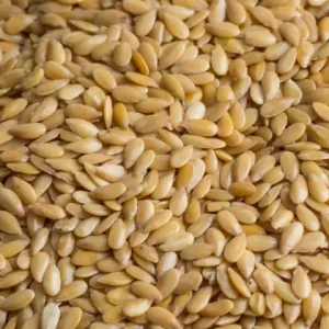 Flaxseed White / ጻዕዳ እንጣጢዕ / ነጭ ተልባ